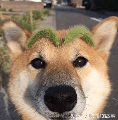 打的手疼不疼？要么下次买个棍子打吧！