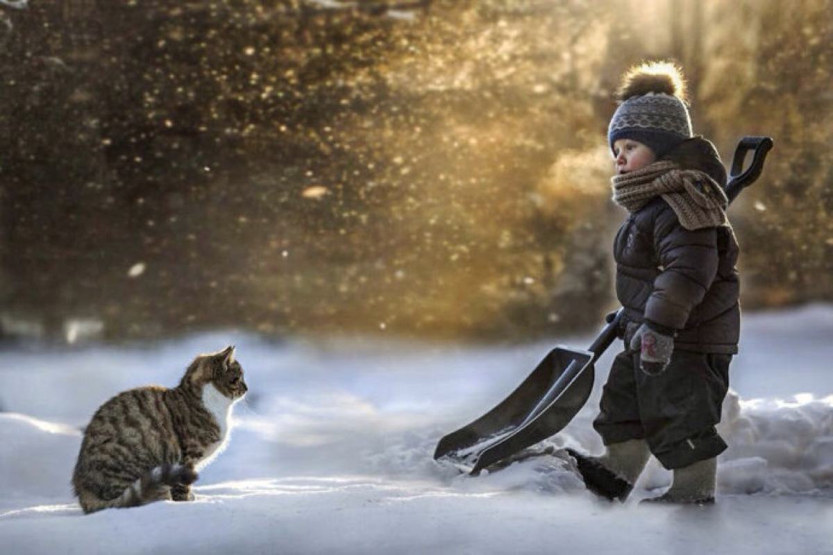 如何跟孩子沟通生死的话题,沉重的话题是什么