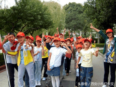 小学语文句型转换方法及技巧视频,四年级小学语文句型转换书籍