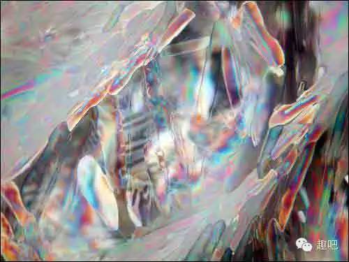 2月25日是好日子吗,2月25日有什么含义呢