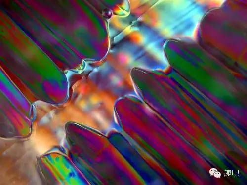 2月25日是好日子吗,2月25日有什么含义呢