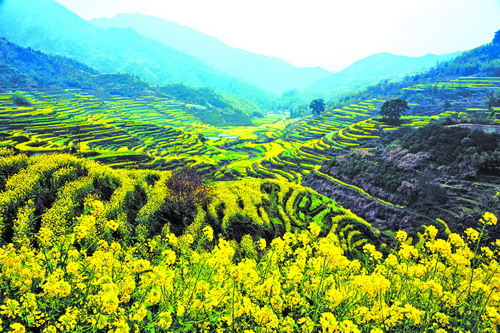 春花烂漫惹人醉踏青赏花正当时,春花烂漫时相约龙盘山