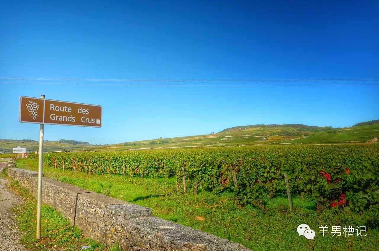 美人鱼里的红酒叫什么名字,美人鱼红酒罗曼尼康帝