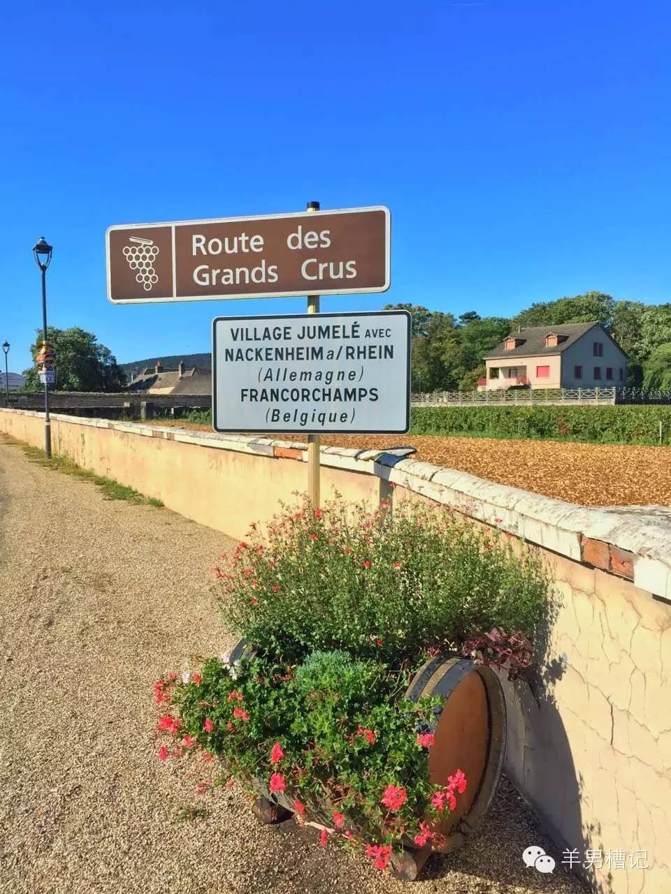 美人鱼里的红酒叫什么名字,美人鱼红酒罗曼尼康帝