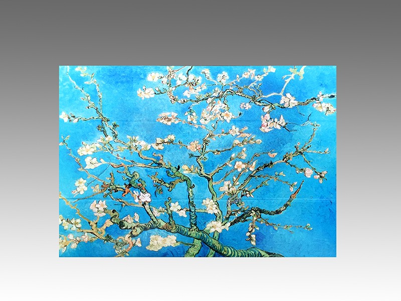 把3d眼镜带回家,3d眼镜拿回家