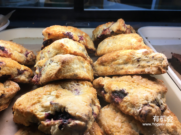 现实中的魔法森林,魔法森林教学课件