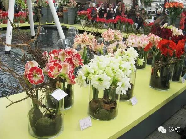 欧洲最出名购物圣地,欧洲购物哪里便宜