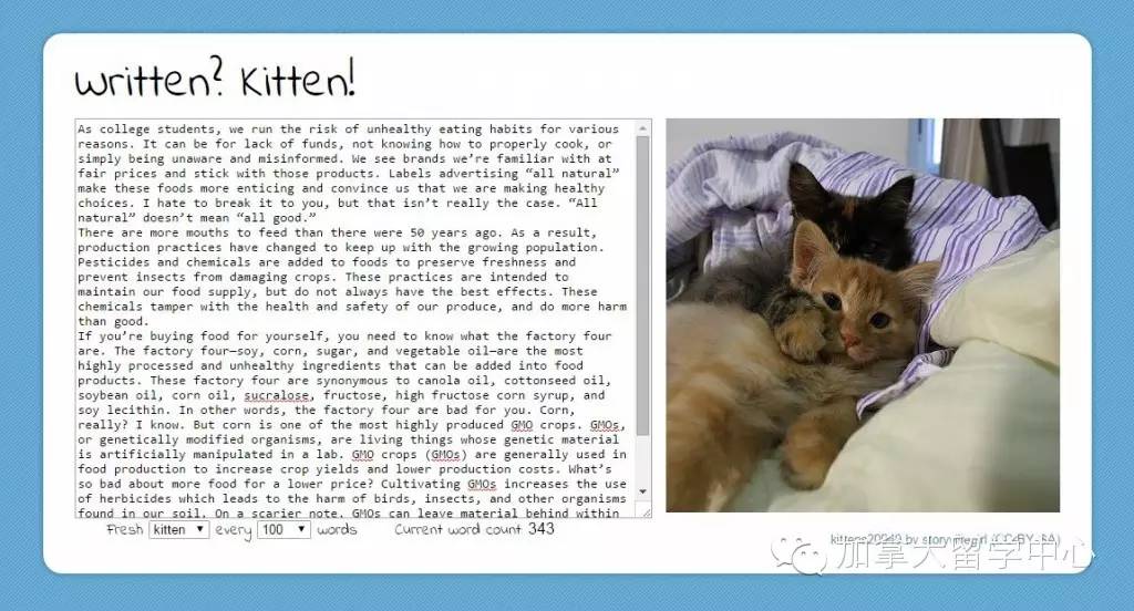 写essay的网站,essay必备网站