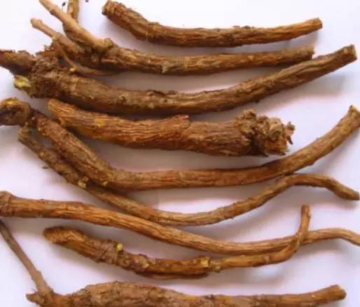 创投项目黄芩苷在调节老年痴呆-淀粉样蛋白代谢方面的用途