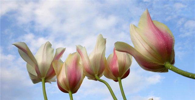 奢侈品代购是骗人吗,奢侈品代购生意不好