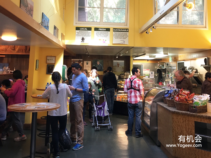 现实中的魔法森林,魔法森林教学课件