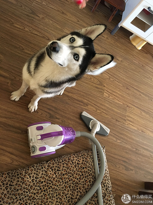 宝家丽吸尘器gy305,宝家丽吸尘器gy-606s