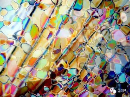 2月25日是好日子吗,2月25日有什么含义呢