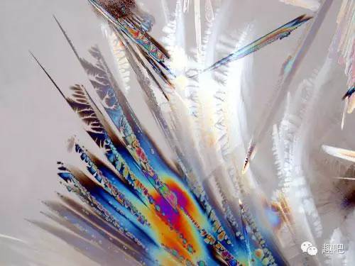 2月25日是好日子吗,2月25日有什么含义呢