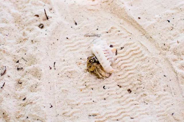 谁说带着娃就不能度蜜月？｜你没见过的马尔代夫游记