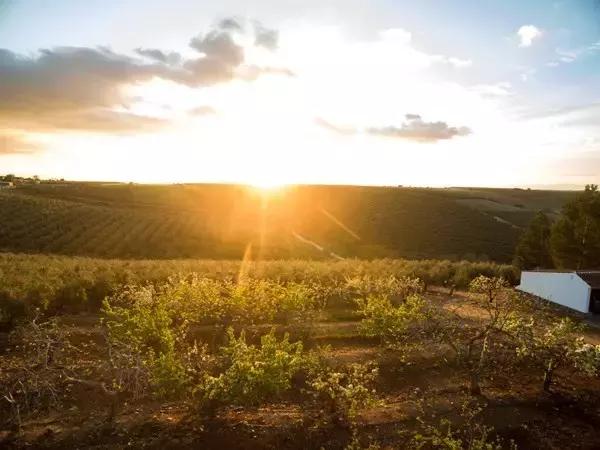 众筹的商业模式分析,互联网众筹有哪几种典型模式