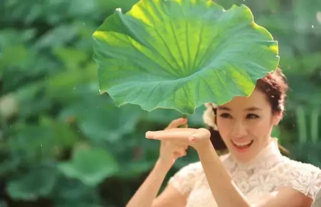 金华十大赏花景点排名,金华荷花景点大全