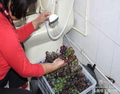 自酿葡萄酒如何保存,自酿葡萄酒的4大忌