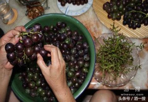 自酿葡萄酒如何保存,自酿葡萄酒的4大忌