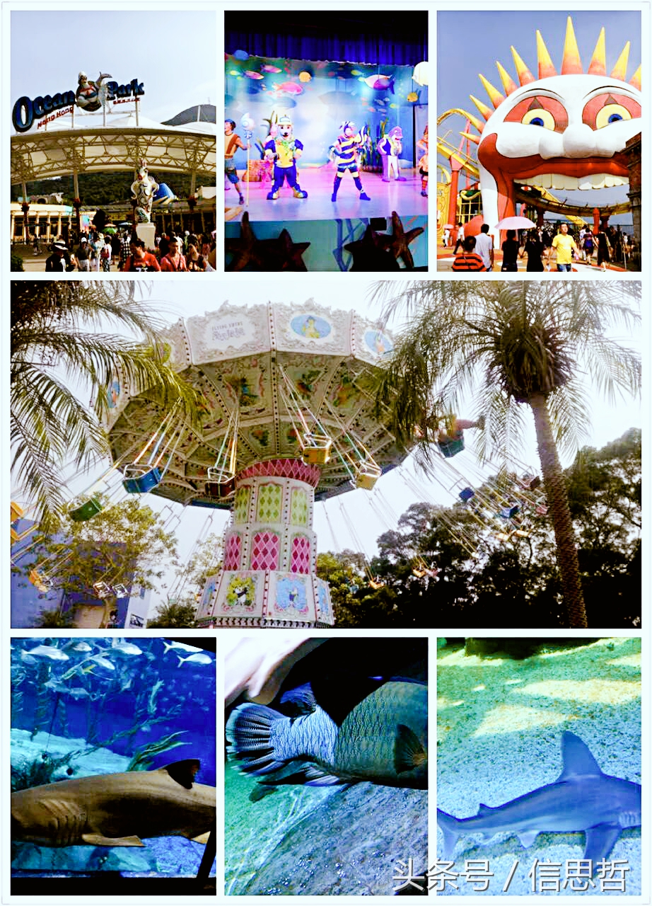 去香港旅游应该去哪玩,去香港旅游攻略最新消息