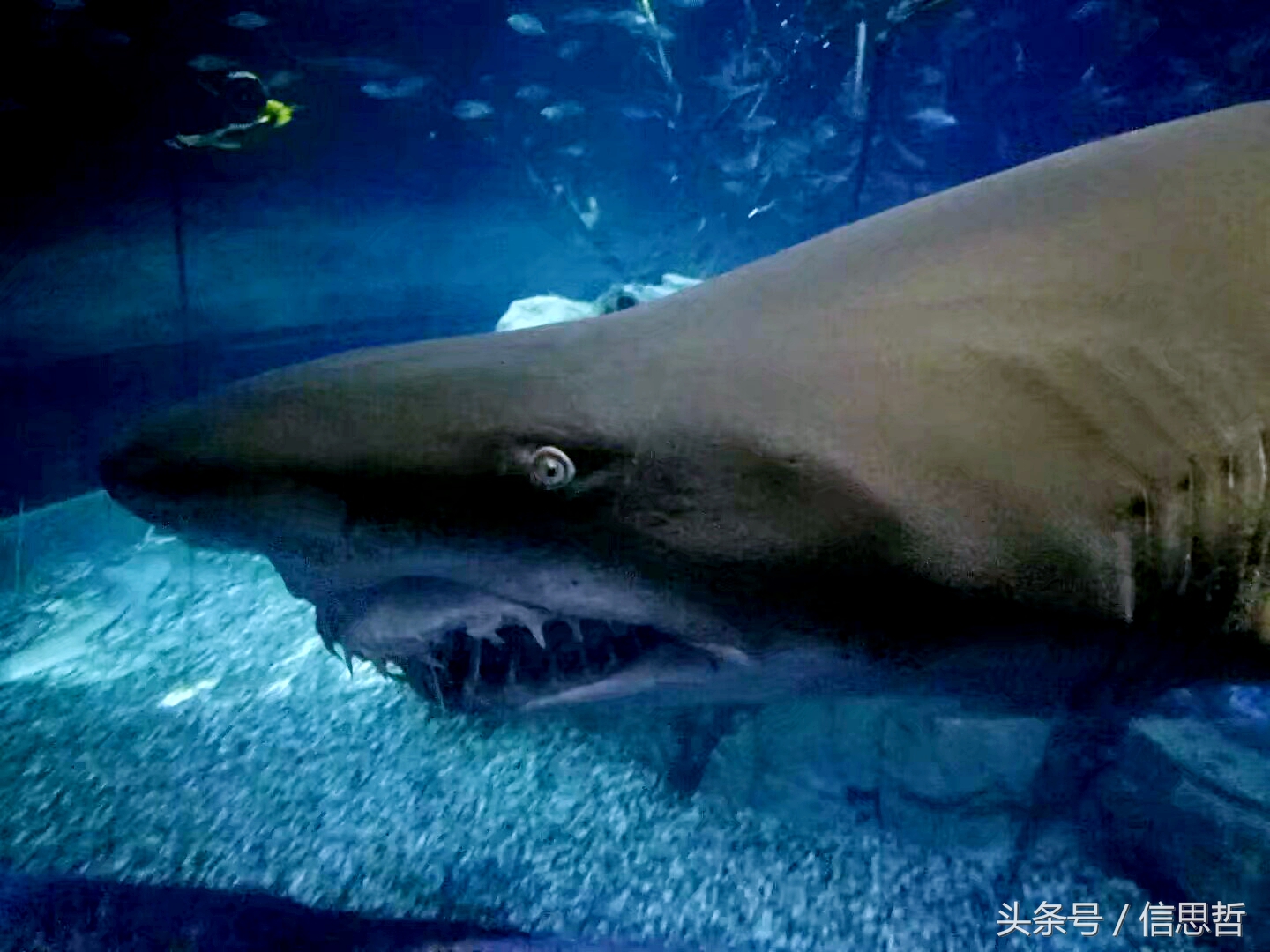 去香港旅游应该去哪玩,去香港旅游攻略最新消息