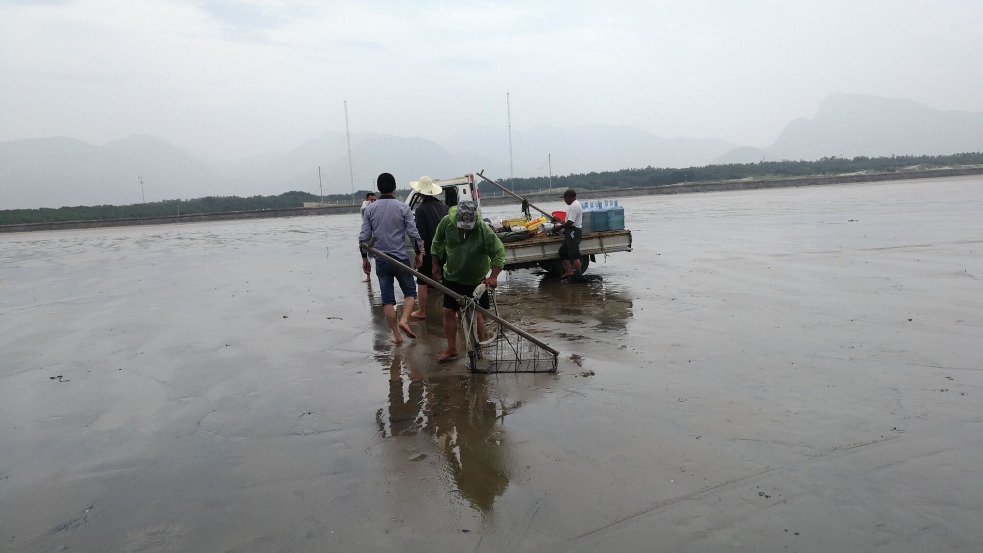 黄蛤怎么捕食,挖青蛤的正确方法视频
