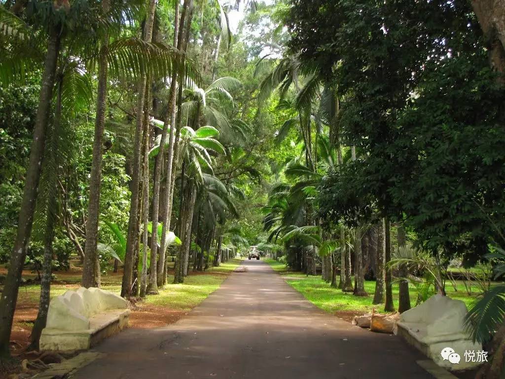 毛里求斯免签,毛里求斯在中国免签停留时间