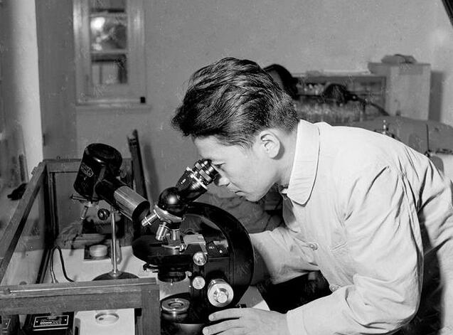 上海牌手表收藏价格大全,上海手表7221有收藏价值吗