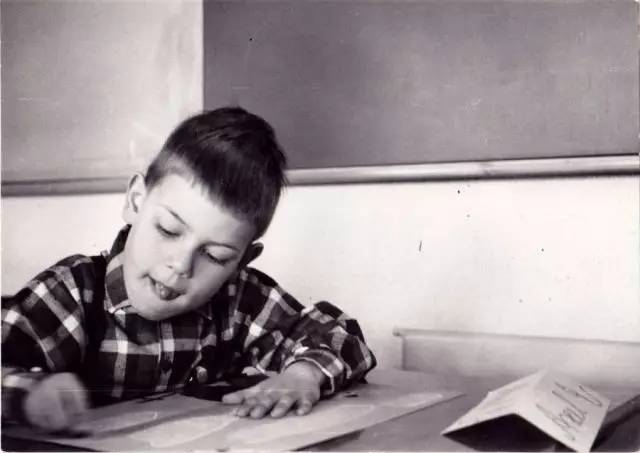 树丛｜大眼睛小眼珠，呆萌可爱舍夫勒