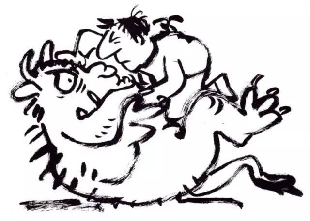 树丛｜大眼睛小眼珠，呆萌可爱舍夫勒