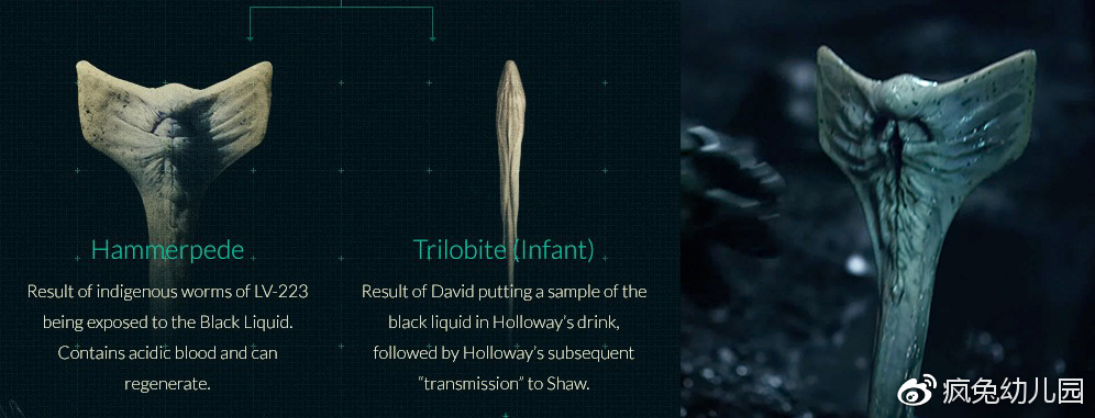 看异形整个系列顺序,想看懂异形先看哪一部