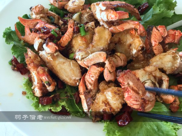 塞舌尔哪个海岛最好玩,最美的海岛塞舌尔