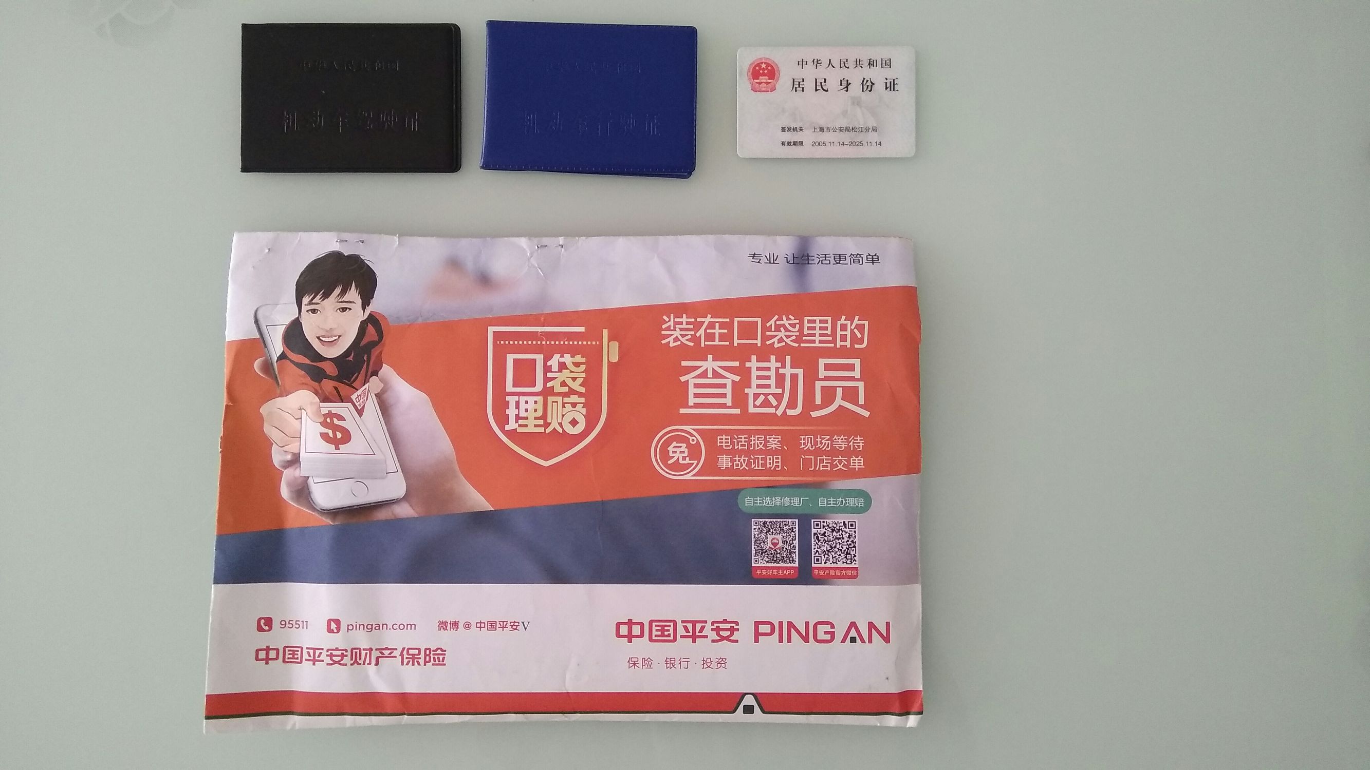 一人一狗一车的旅行视频,一人一车一狗去自驾