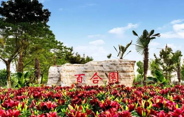 连云港生活是怎样一种感受,在连云港生活的感受