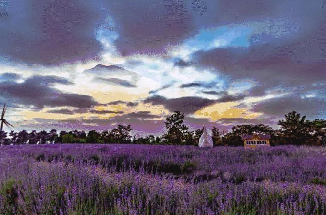 连云港生活是怎样一种感受,在连云港生活的感受