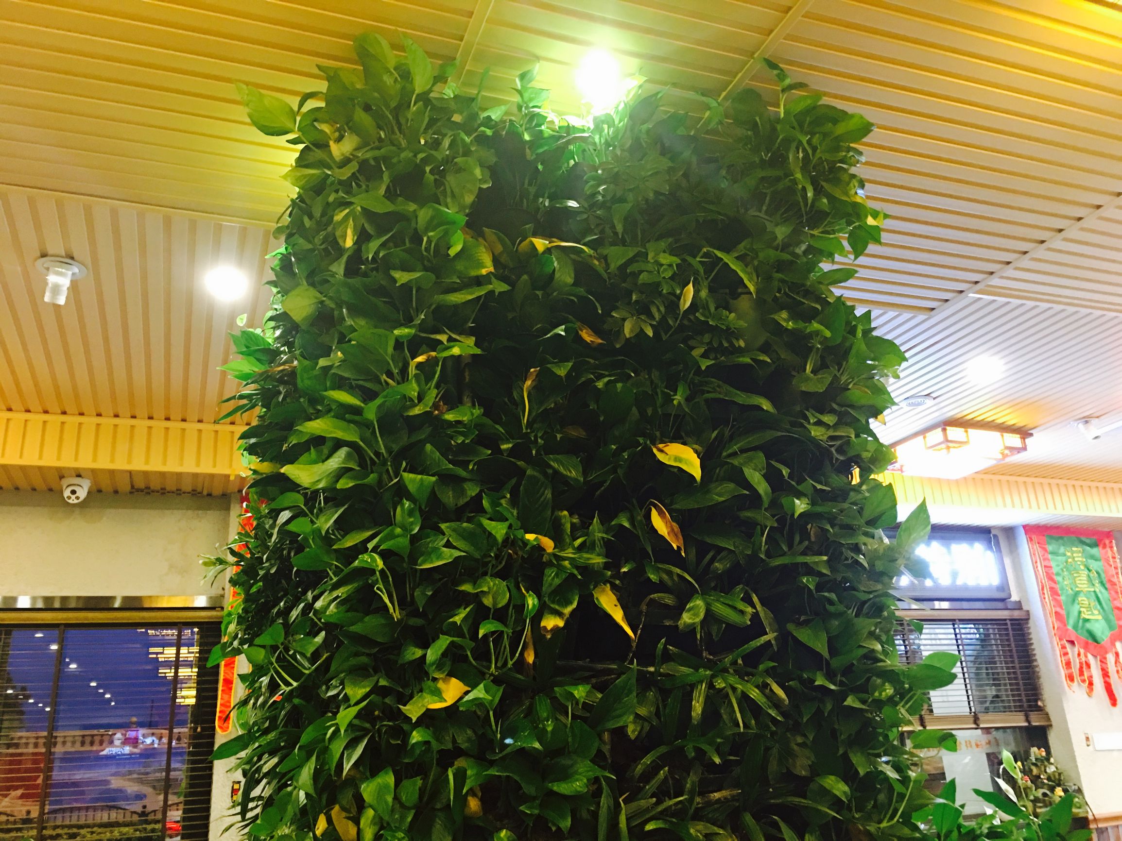 将军匙，鹭江道的头牌