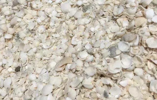 西澳珀斯游记,西澳游记攻略