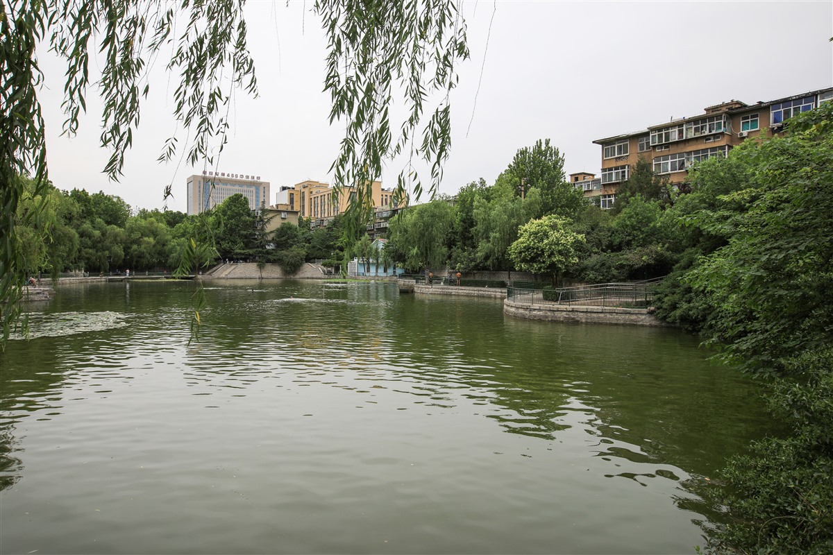 济南有哪些合唱团,济南泉城合唱团