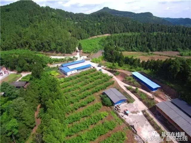 林农奇骏农业这里的桃子吃起来就像小时候的味道，忘不了……