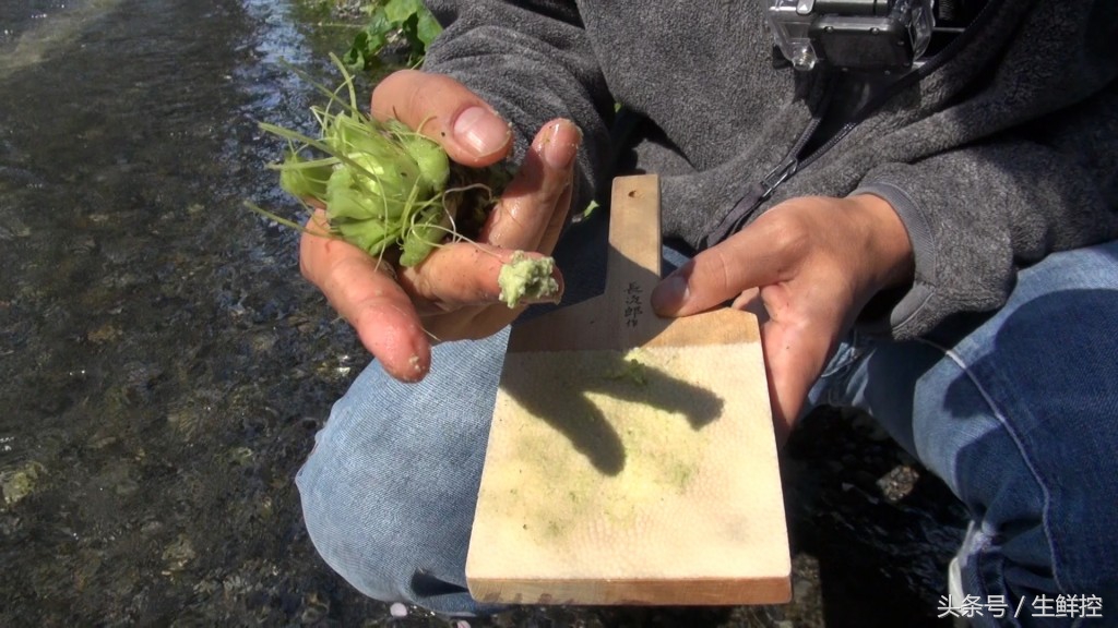 刺身中山葵酱好还是芥末好,山葵酱和芥末的区别是什么