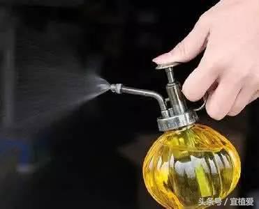 杀蚜虫蚂蚁红蜘蛛最有效的杀虫剂,家用杀虫剂杀花卉蚜虫