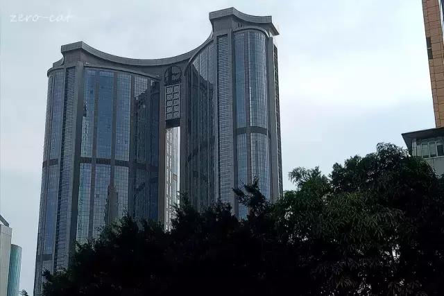 林和西还能出去吗 (林和西视频)