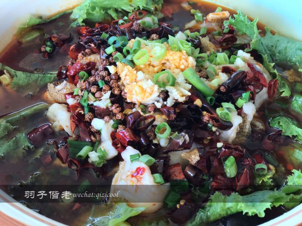 塞舌尔哪个海岛最好玩,最美的海岛塞舌尔