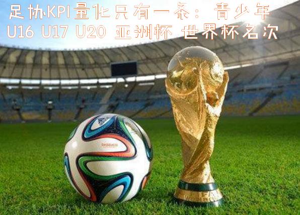 拯救国足方案出炉:全国每月发960万个足球,每平方公里一个