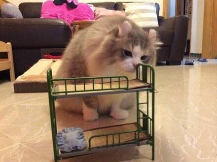 当你考试考的不好有人问你怎么说,当你考试不管怎样都能考满分