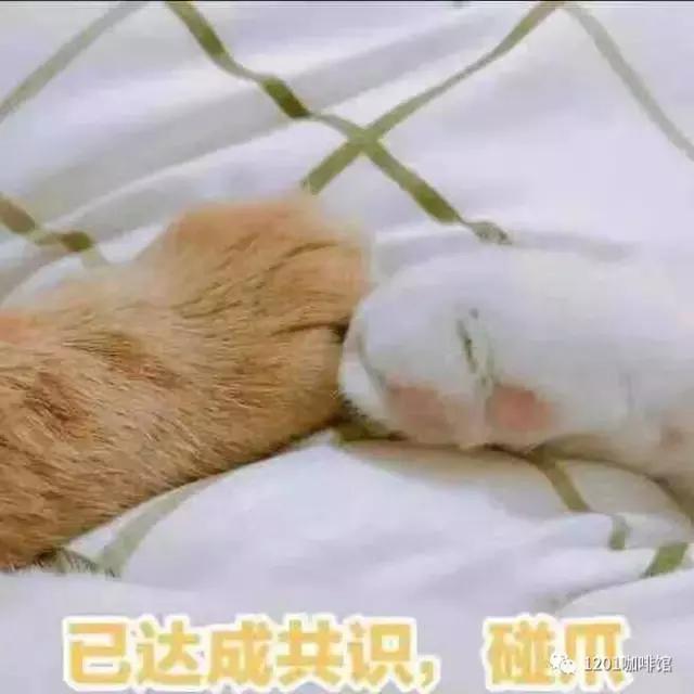 1201の“豆”游世界咖啡中的贵族——危地马拉