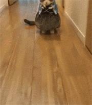 1201の“豆”游世界咖啡中的贵族——危地马拉