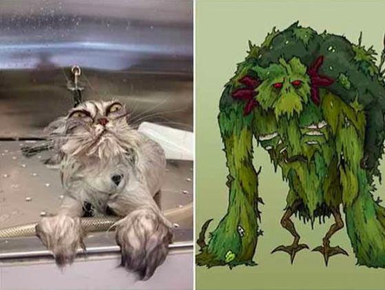 猫最像人的照片,和猫撞脸的人