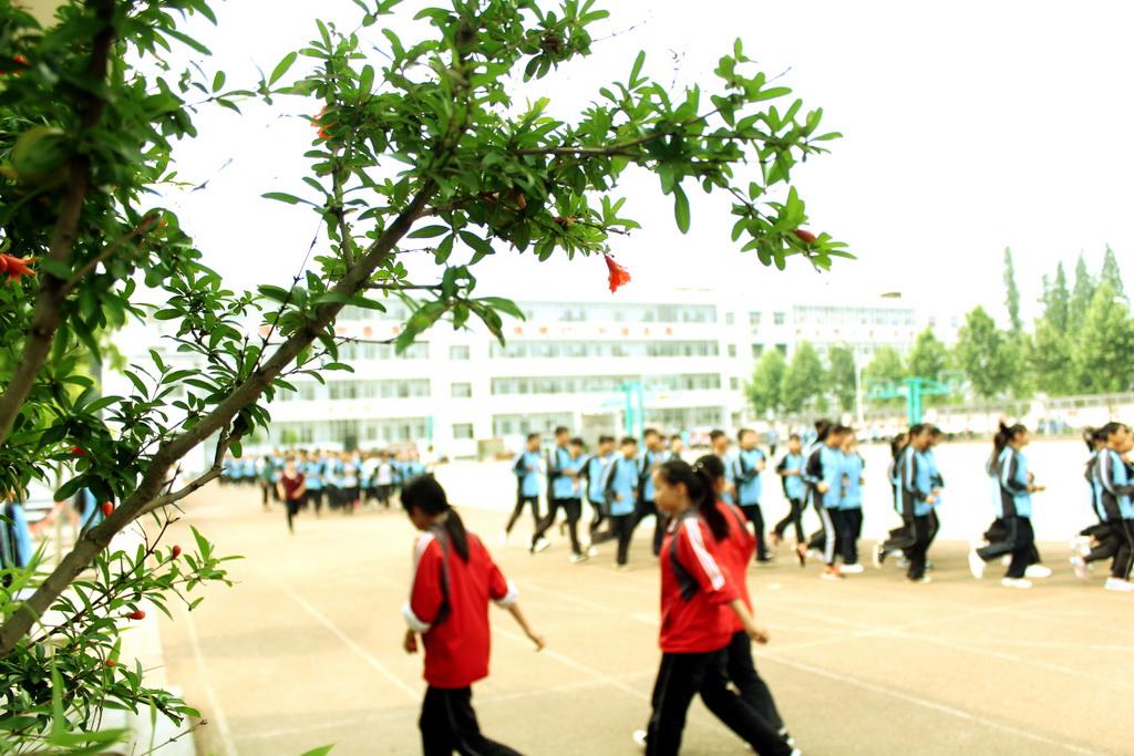 从小到大从弱到强的奋斗历程,从小到大从弱到强