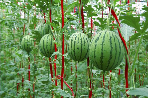 连云港生活是怎样一种感受,在连云港生活的感受